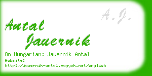 antal jauernik business card